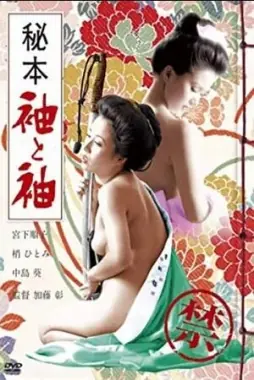 秘本袖与袖海报