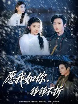 愿我如你,铮铮不折海报