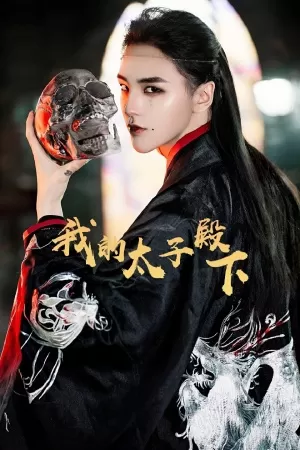 我的太子殿下海报