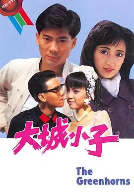 大城小子(国语)海报