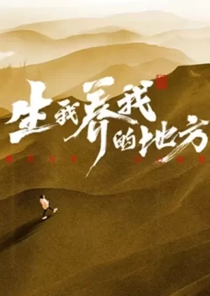 生我养我的地方海报