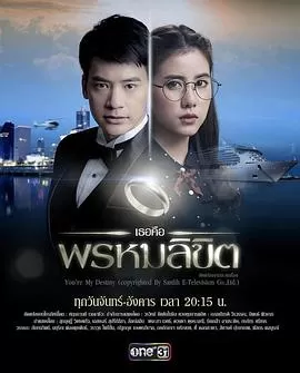 命中注定我爱你海报