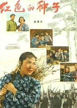 红色的种子海报