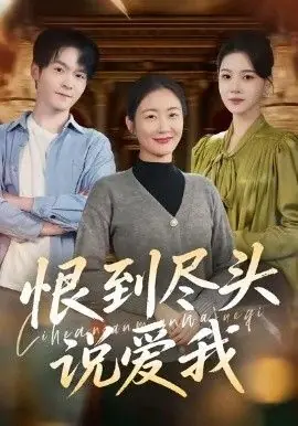 恨到尽头说爱我海报