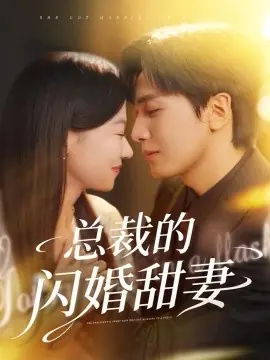 总裁的闪婚甜妻海报