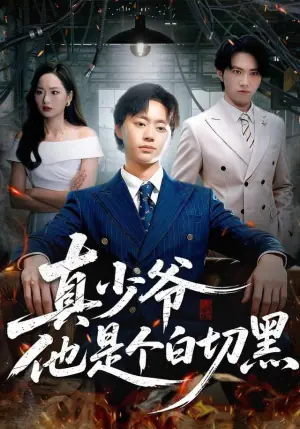 真少爷他是个白切黑海报