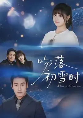 吻落初雪时海报
