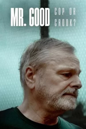 埃里克·詹森:警察还是毒枭?海报