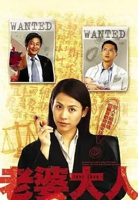 老婆大人(国语)海报