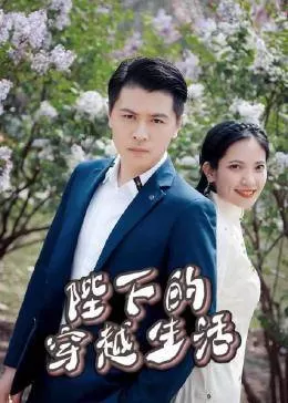 陛下的穿越生活海报