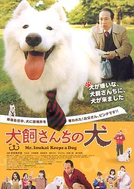 犬饲先生养狗记犬飼さんちの犬海报