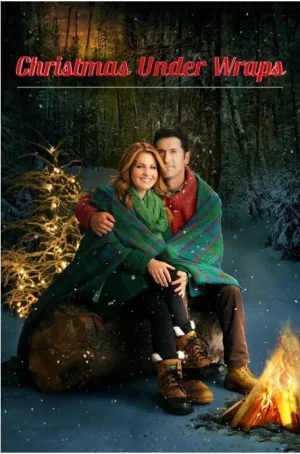 圣诞节的秘密海报