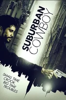 城郊的游侠海报