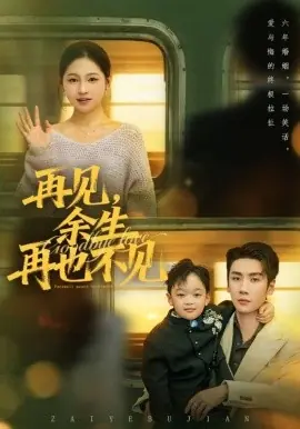 再见余生再也不见海报