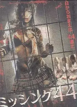 失踪少女44海报