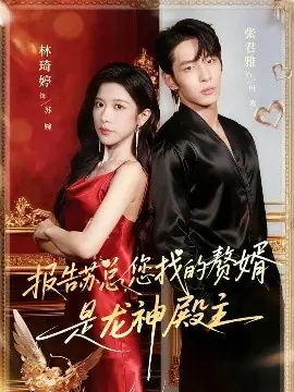 报告苏总,您找的赞婿是龙神殿主海报