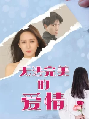 无法完美的爱情海报