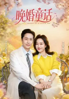晚婚童话海报