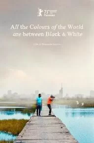 黑白之间是彩色世界海报