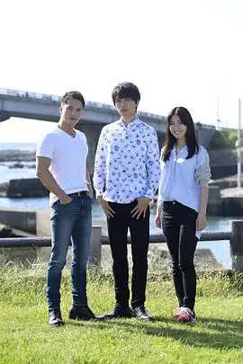殴爱之炎海报
