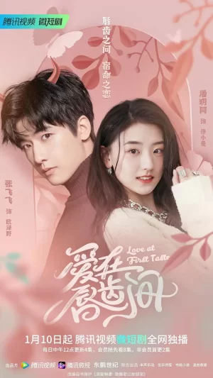 爱在唇齿间海报