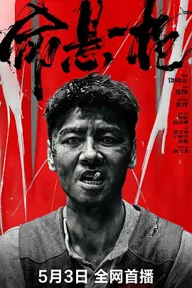 命悬一枪[电影解说]海报