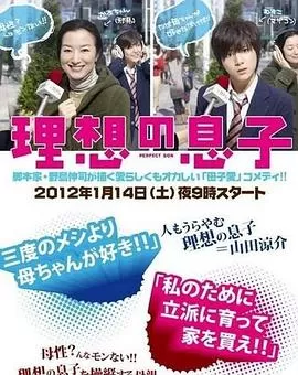 理想的儿子海报