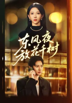 东风夜放花千树海报