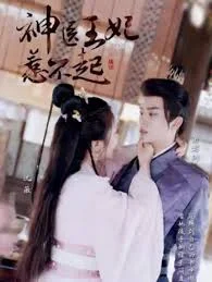 神医王妃惹不起海报