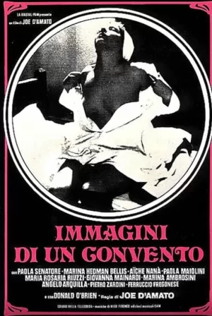 女修道院的影像海报