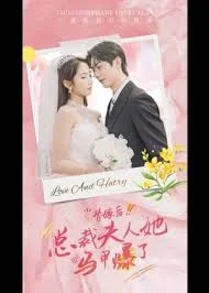 替嫁后,总裁夫人她马甲爆了海报