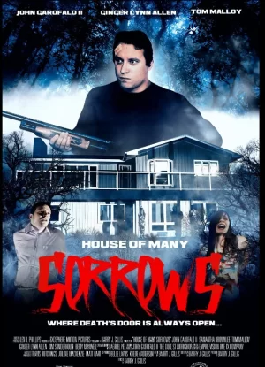 多愁善感之屋海报