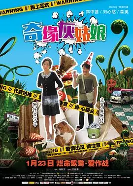 奇缘灰姑娘(国语)海报