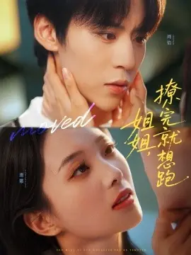 姐姐,撩完就想跑海报