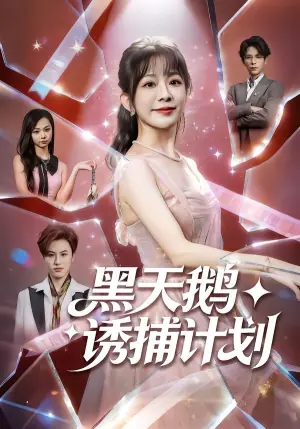 黑天鹅诱捕计划海报