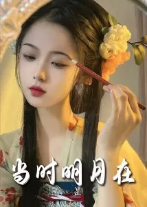 明月照南星海报