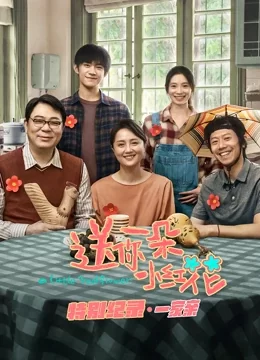 送你一朵小红花·特别纪录第一集海报