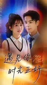 遇见你,时光正好海报