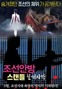 丑闻:朝鲜卧室七出之条海报