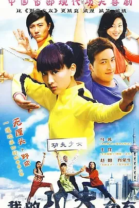 我的功夫女友海报