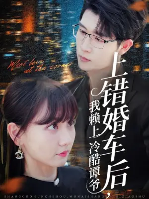 上错婚车后,我赖上冷酷谭爷海报