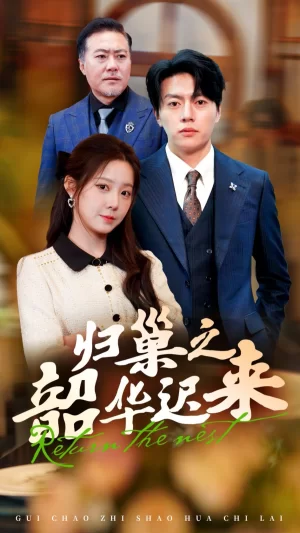 归巢之韶华迟来海报
