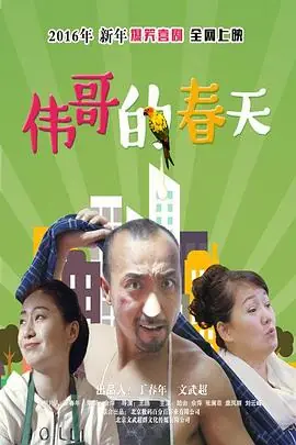 伟哥的故事海报