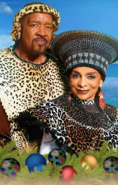 韦斯利南非圣诞节海报