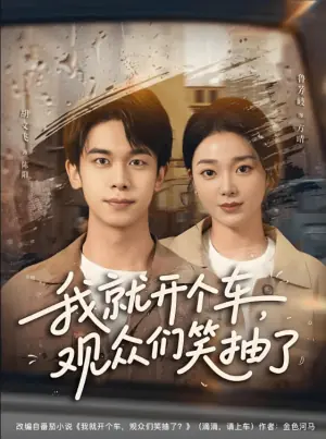 我就开个车,观众们笑抽了海报