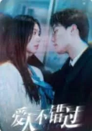 爱人不错过海报