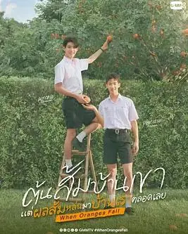 当橘子掉落时海报