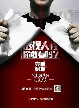 完美假期海报