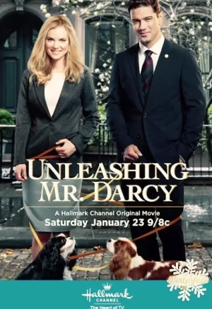 释放达西先生海报