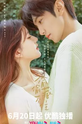 偷偷藏不住[电影解说]海报